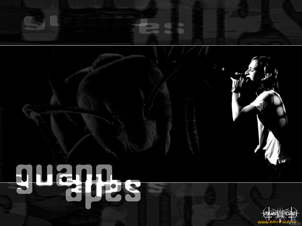 , guano, apes